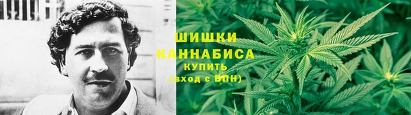 спиды Лагань