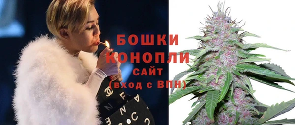 трава Лабытнанги