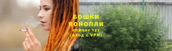 спиды Лагань