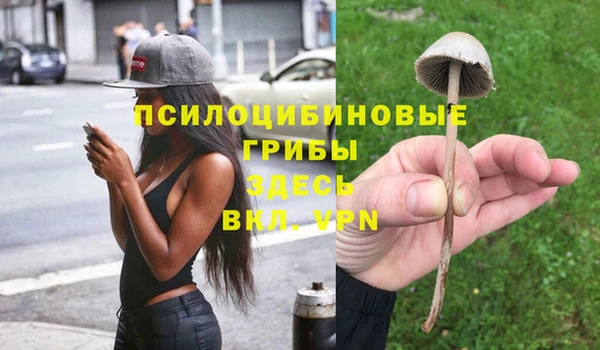 спиды Лагань