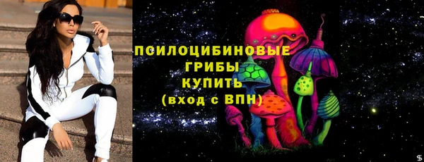 спиды Лагань